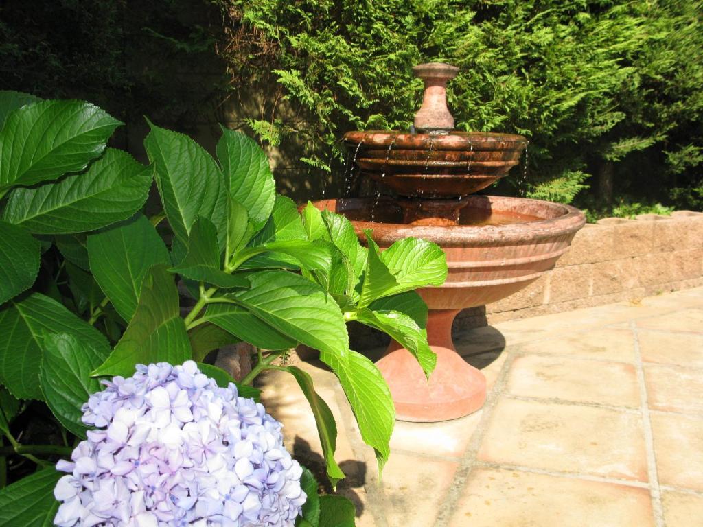 Casablanca Bed And Breakfast 斯泰伦博斯 外观 照片